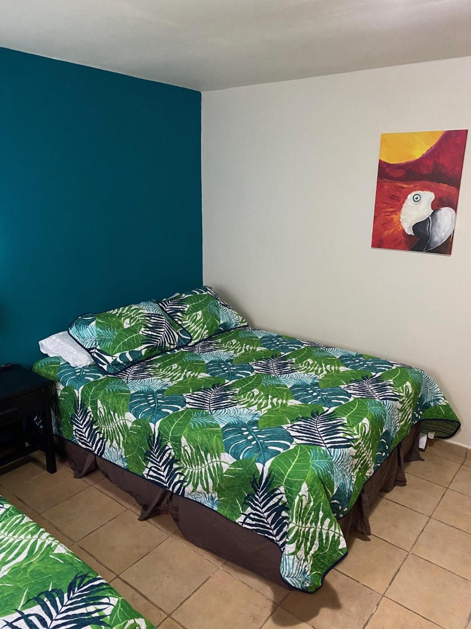 Uverito Sand Dollar B&B Las Tablas Zewnętrze zdjęcie